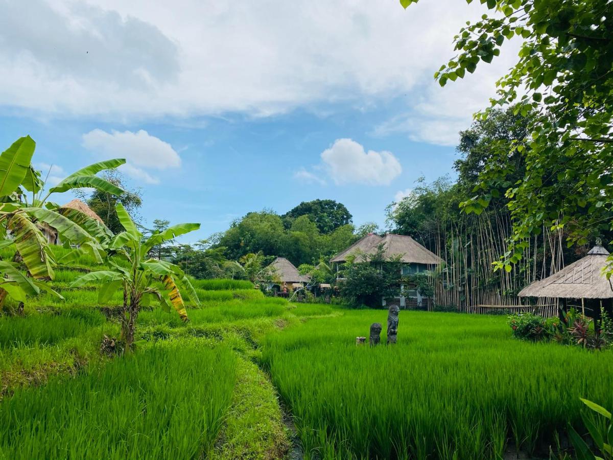 Kts Balinese Villas Canggu Exteriör bild